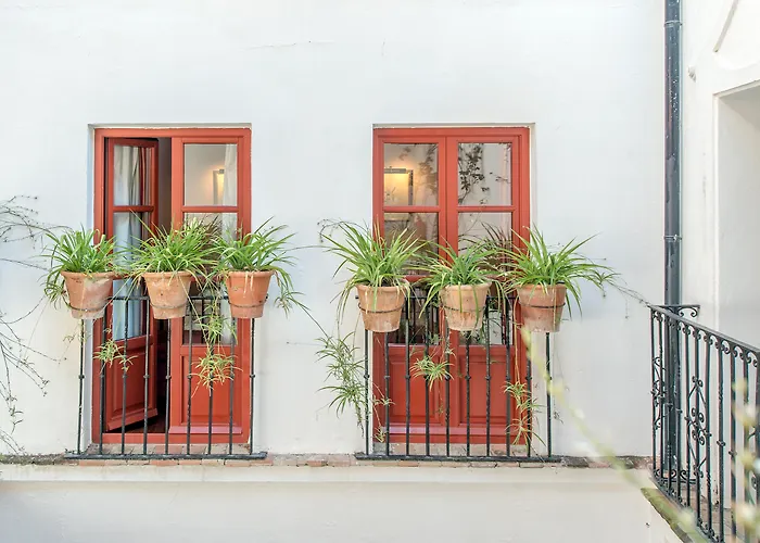 Hôtel accueillant les animaux: Hotel Las Casas De La Juderia