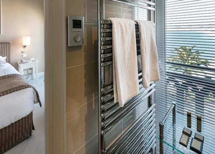Hotel que admite mascotas: Hotel Suisse