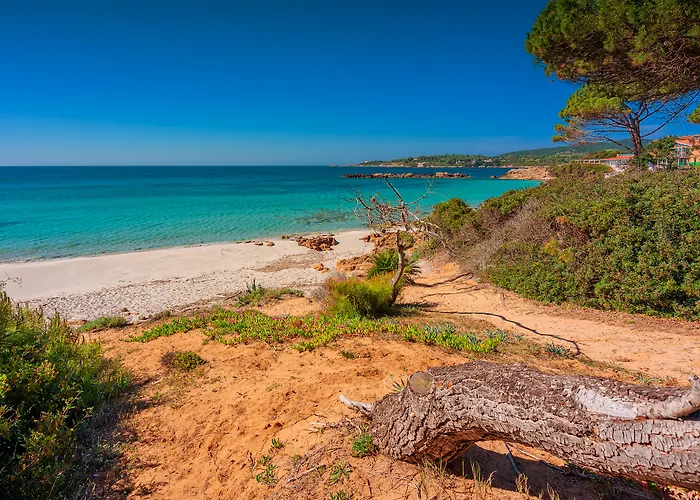 Hotel céntrico: Vista Blu Resort