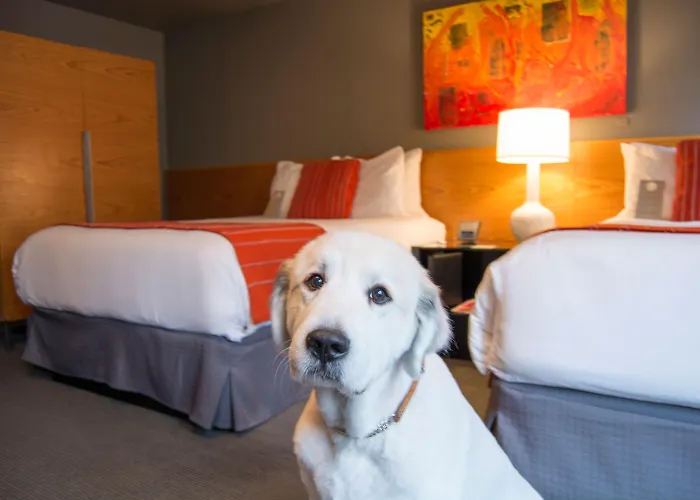 Strandhotel: Hotel Max