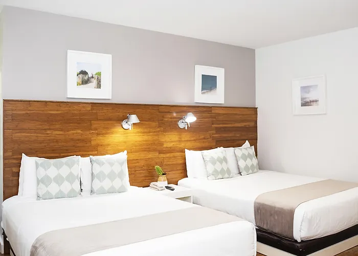 Pet Friendly hotel: Riviere South Beach Hotel