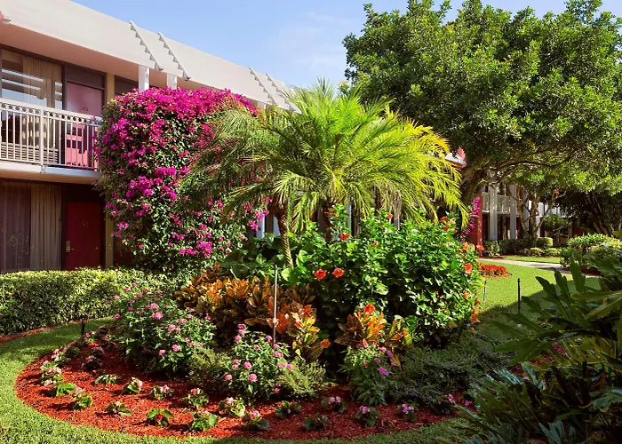 Pet Friendly hotel: Collins Hotel Naples