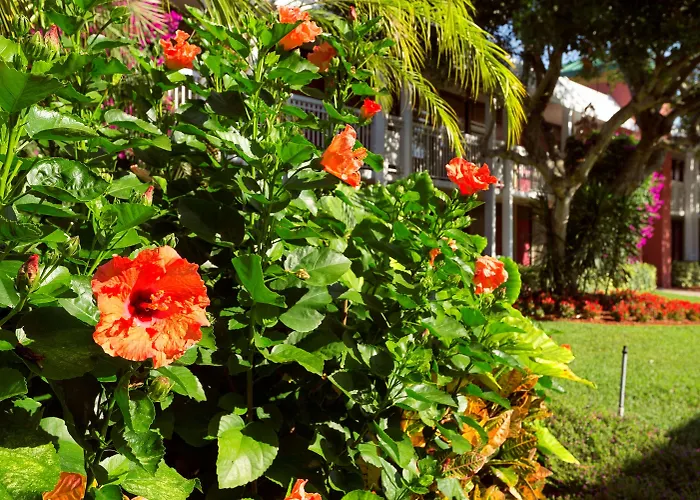 Pet Friendly hotel: Collins Hotel Naples