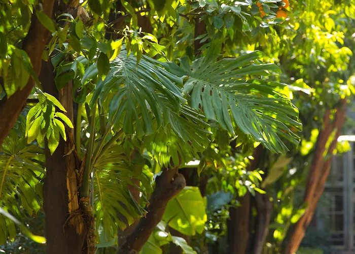 5 star hotel: Les Jardins De La Medina