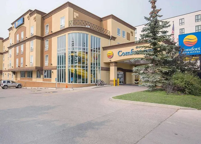 Beach Hotels Comfort Inn & Suites University