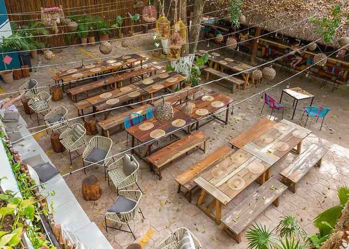 Cheap hotel: Selina Playa Del Carmen