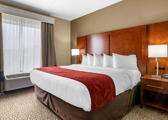 Comfort Suites Florence I-95