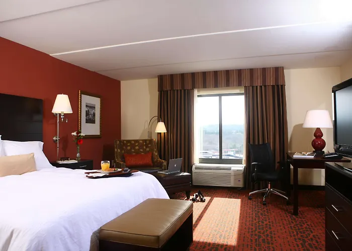 Pet Friendly hotel: Hampton Inn Atlanta-Canton