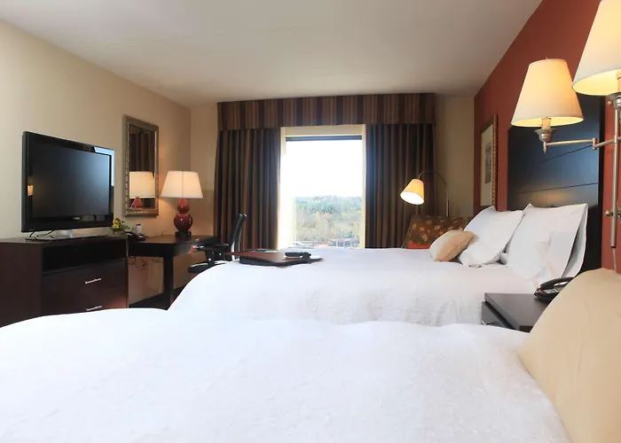 Pet Friendly hotel: Hampton Inn Atlanta-Canton