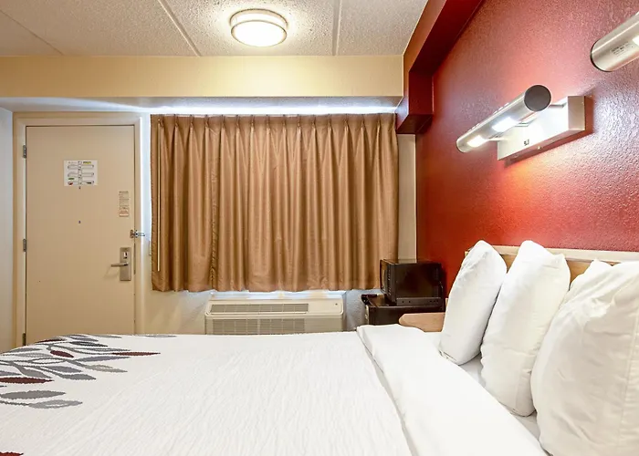 Motel: Red Roof Inn North Charleston Coliseum