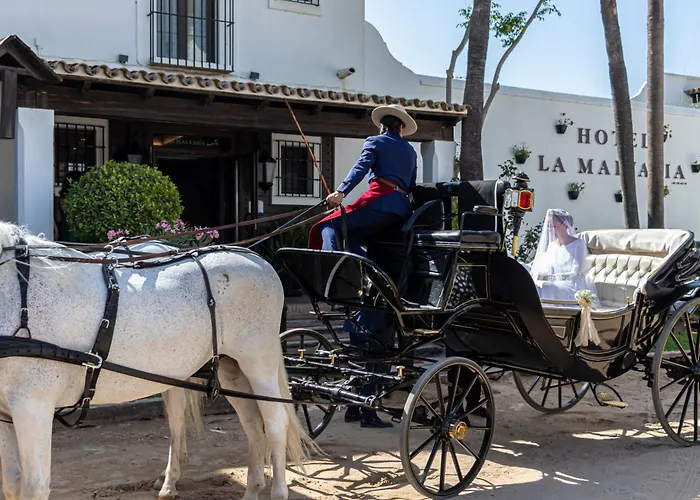  La Malvasía