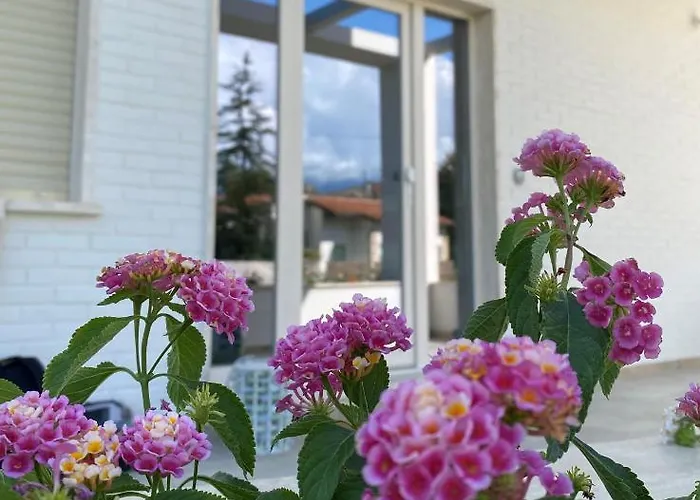 Villa Derna Marina di Pietrasanta