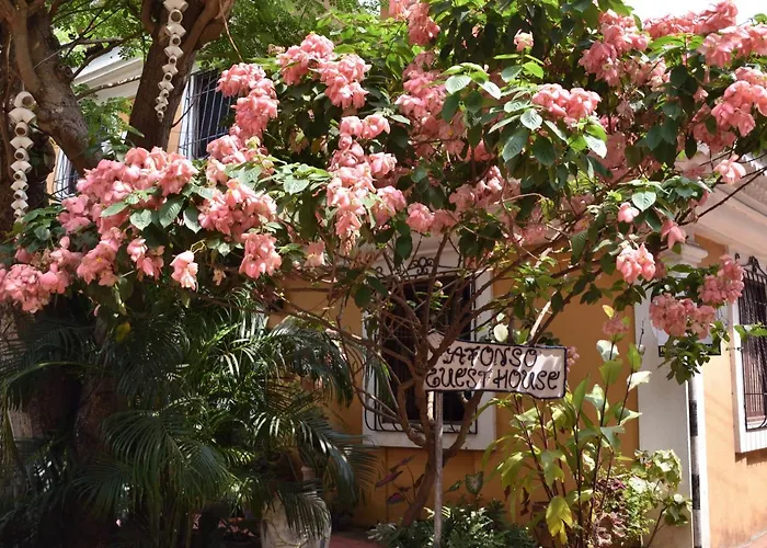 Afonso Guest House - Fontainhas
