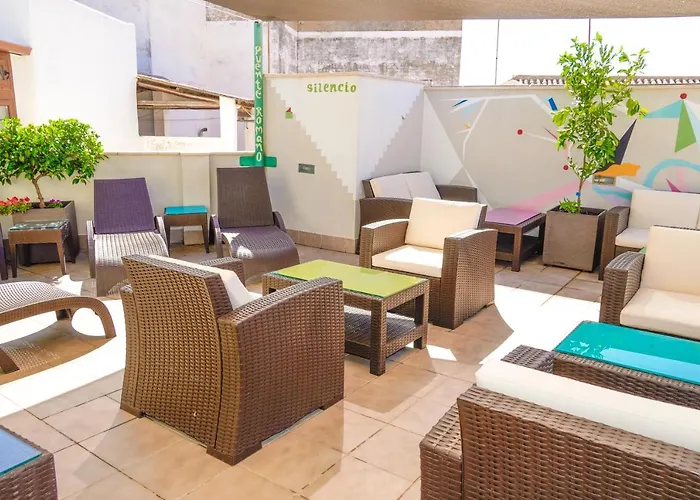 Hôtel accueillant les animaux: Cordoba Carpe Diem Hotel Y Apartamentos