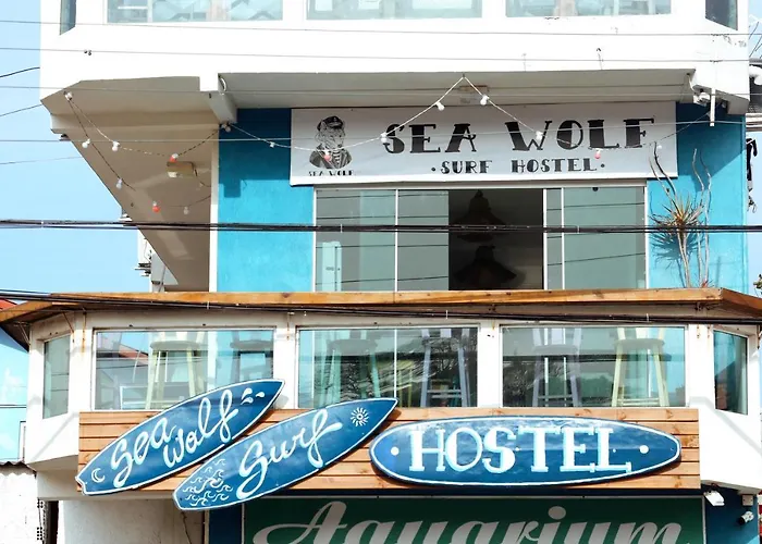 Hotel de praia: Sea Wolf Surf Hostel