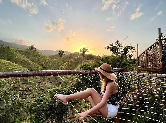 Valley Tayrona - A Social Jungle