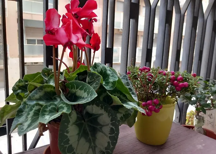 La valigia sul letto