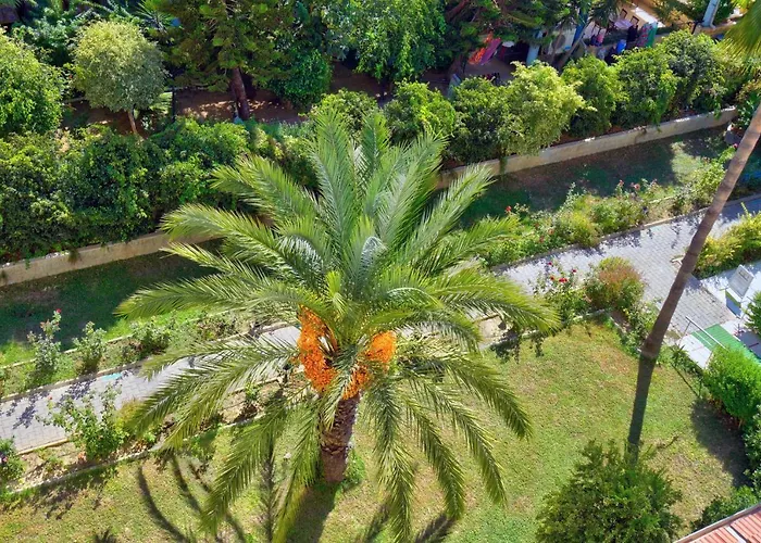 Resort: Blue Fish Hotel All Inclusive