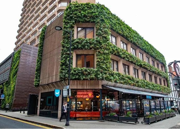 Luxury hotel only: Brewdog Doghouse Manchester