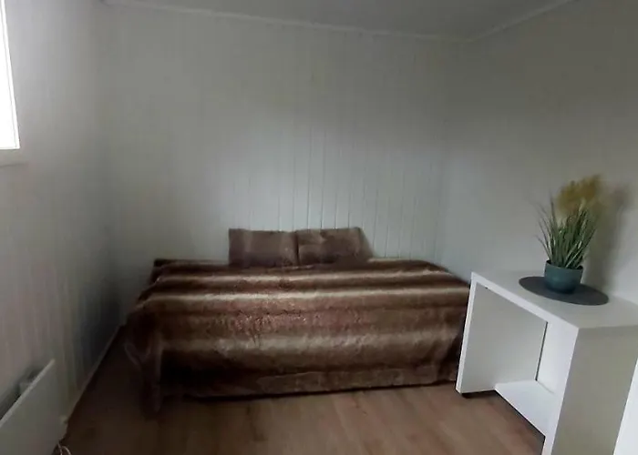 Aurora rooms in shared apartment nr2 We are doing privet Northen lights trips, reindeer trip&Fjord sommaroy trip