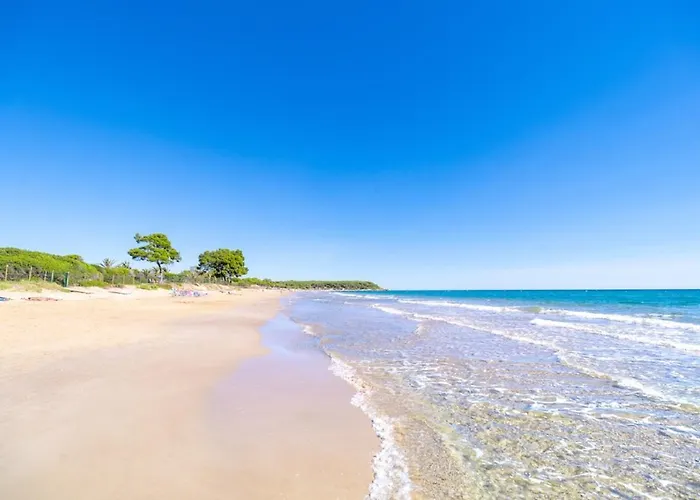 Las Palmeras