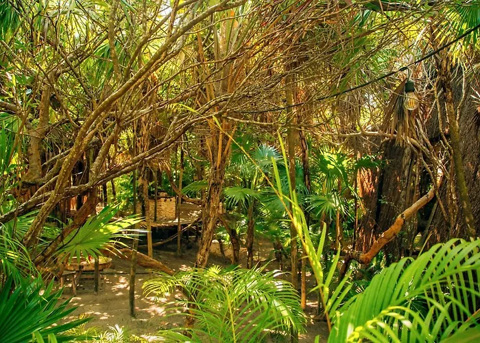 Hôtel 5 étoiles: Ikal Tulum Hotel