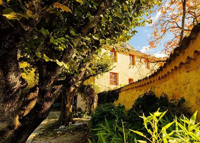 Hôtel accueillant les animaux: La Bastide du Paradou