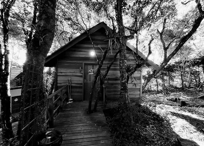 Aluguéis de temporada: Chalé Beija-flor - Ninho das Aves