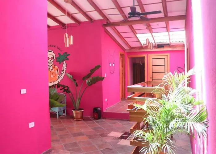  Planet B Hostel - Adults Only