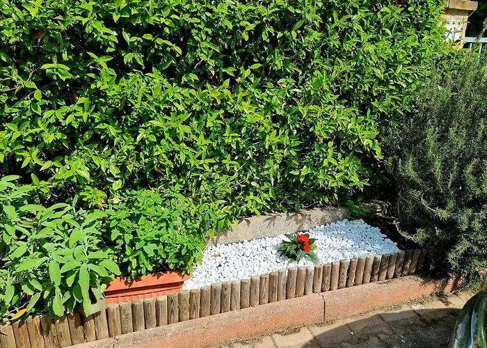 Hotel adatto agli animali: Hotel Orchidea