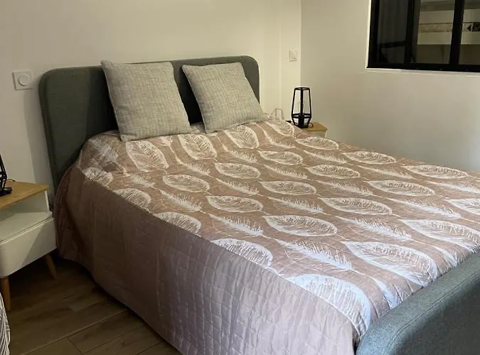 Hôtel accueillant les animaux: La Maison Clémenso