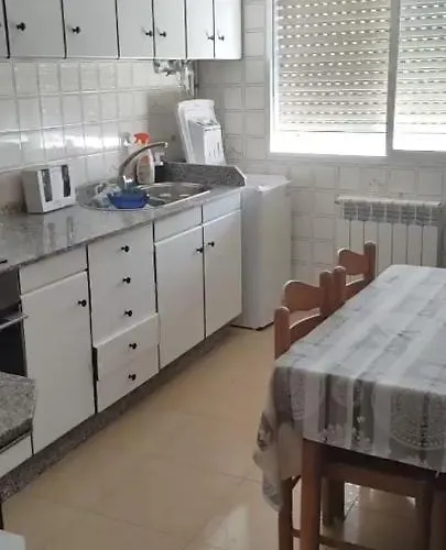 Perros hoteles 2