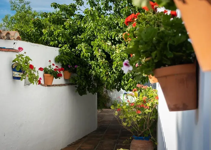 Casa de huéspedes: Hostal Cabo Roche