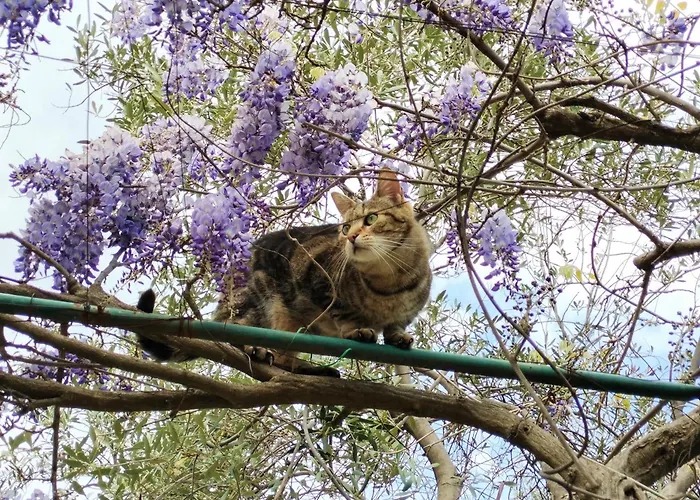 le finestre sul mare