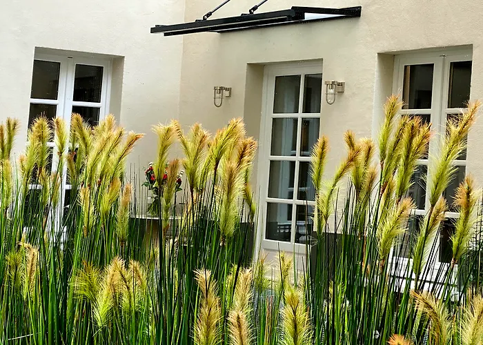 Hôtel accueillant les animaux: Hotel La Lanterne & Spa By Timhotel