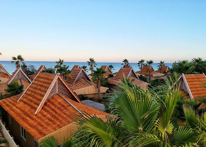 4 sterren hotel: Toison D'Or