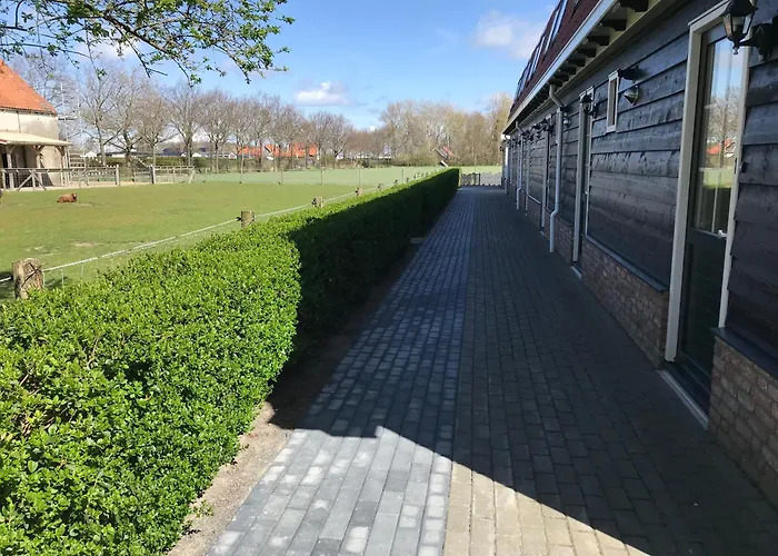 De Schelp