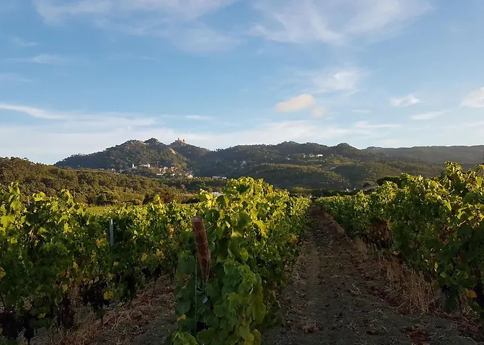 Hotel de 4 estrelas: Santa Maria Casa Nostra