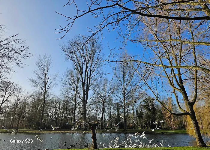 Stadsboerderij