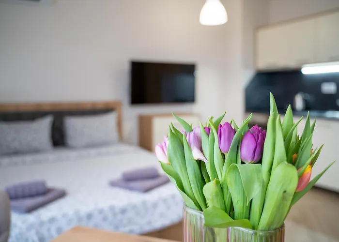 Wow Studios For Rent - Bul Montevideo 25A - B