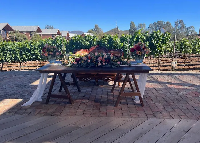 Pet Friendly hotel: Don Tomas Vinedo Cabanas