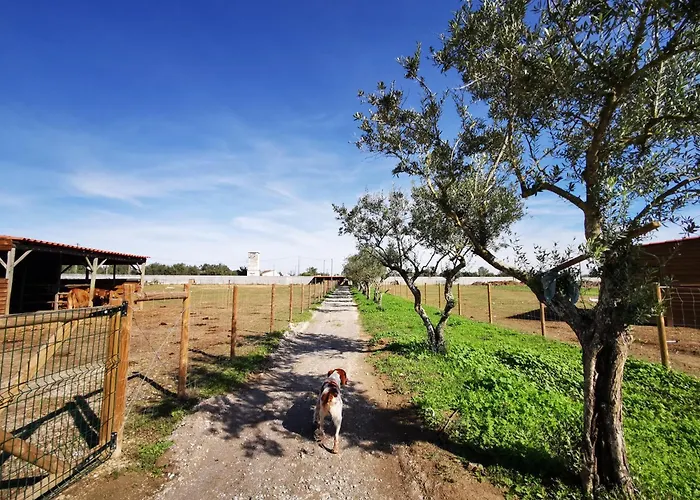 Hotel barato: Quinta Do Louredo - Evora