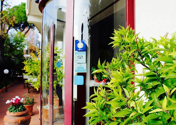 Hotel Roof
