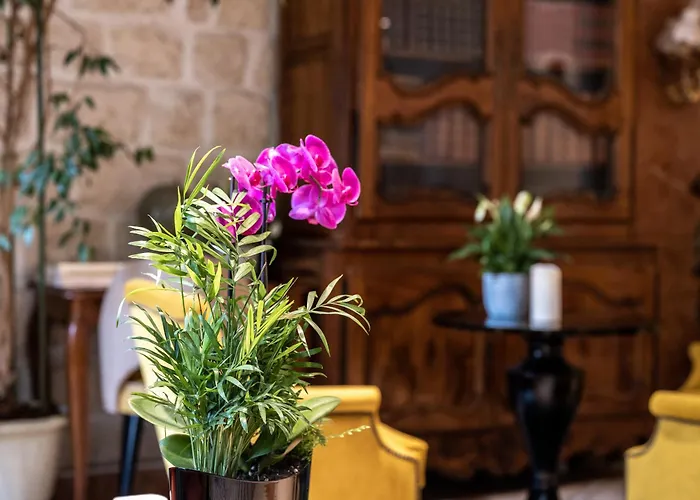 Resort: Hotel Minerve