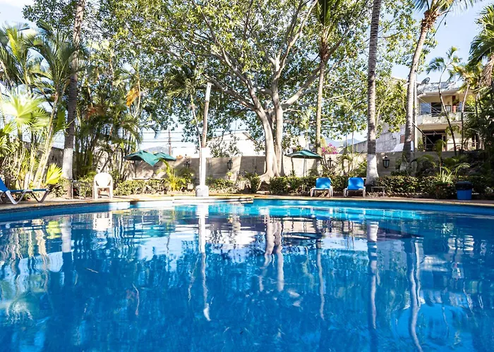 Hotel que admite mascotas: Soy Local Puerto Vallarta