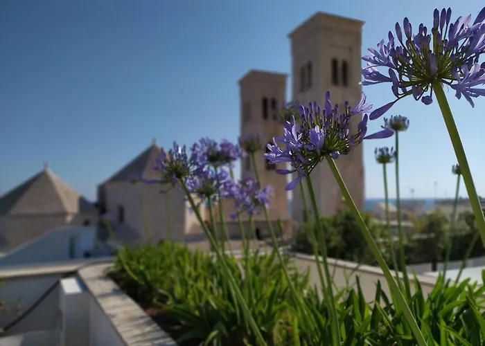 Hotel di lusso: Dogana Resort