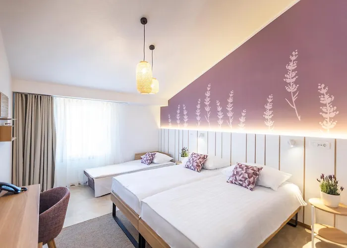 Hotel 3 stelle: Hotel Vile Park Premium