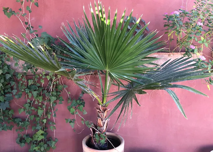 Guests house Riad Al Mamoune