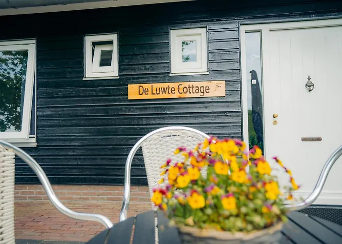 Goedkoop hotel: B&B de Luwte Cottage