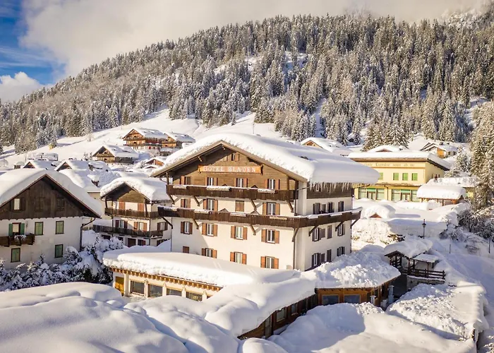 Hotel adatto agli animali: Wellness Hotel Bladen